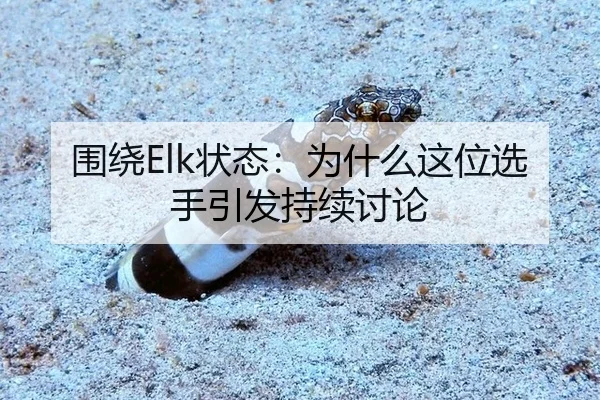 围绕Elk状态：为什么这位选手引发持续讨论